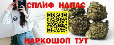 шишки Кандалакша