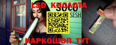 шишки Кандалакша