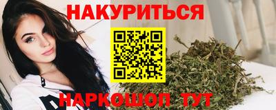 шишки Кандалакша
