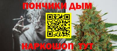 шишки Кандалакша