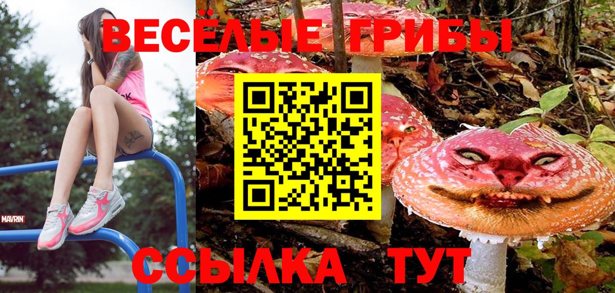 Псилоцибиновые грибы Psilocybe Азов