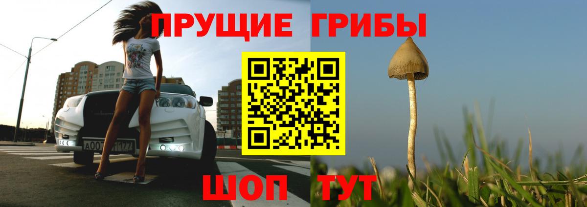 Псилоцибиновые грибы мухоморы  Псилоцибиновые грибы мицелий  Азов  Вход с VPN 
